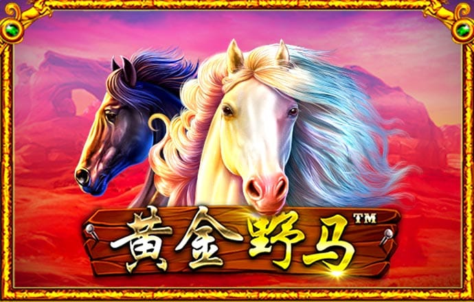 pc加拿大飞飞在线预测最新版
